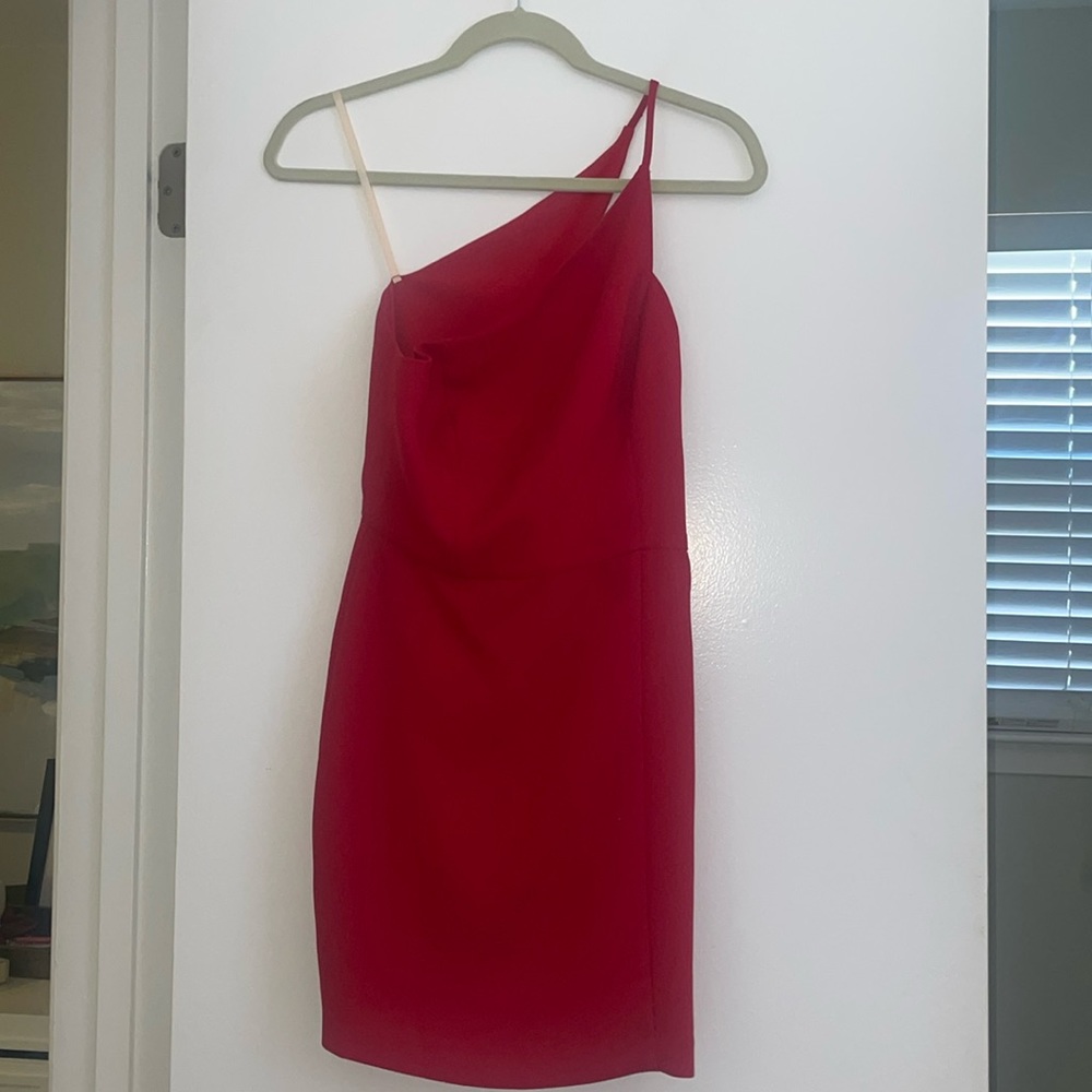 Great Christmas Dress! Worn once